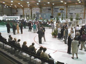 Sukujuhla Kouvolan Inkeroisten jäähallissa vuonna 2000.